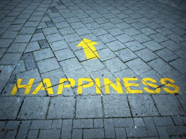 the road to happiness - is it the same as eudaimonia?